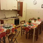 B&B Sunflower