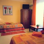 B&B Sunflower